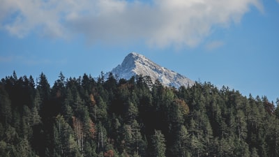 白天蓝天下，山边绿树成荫